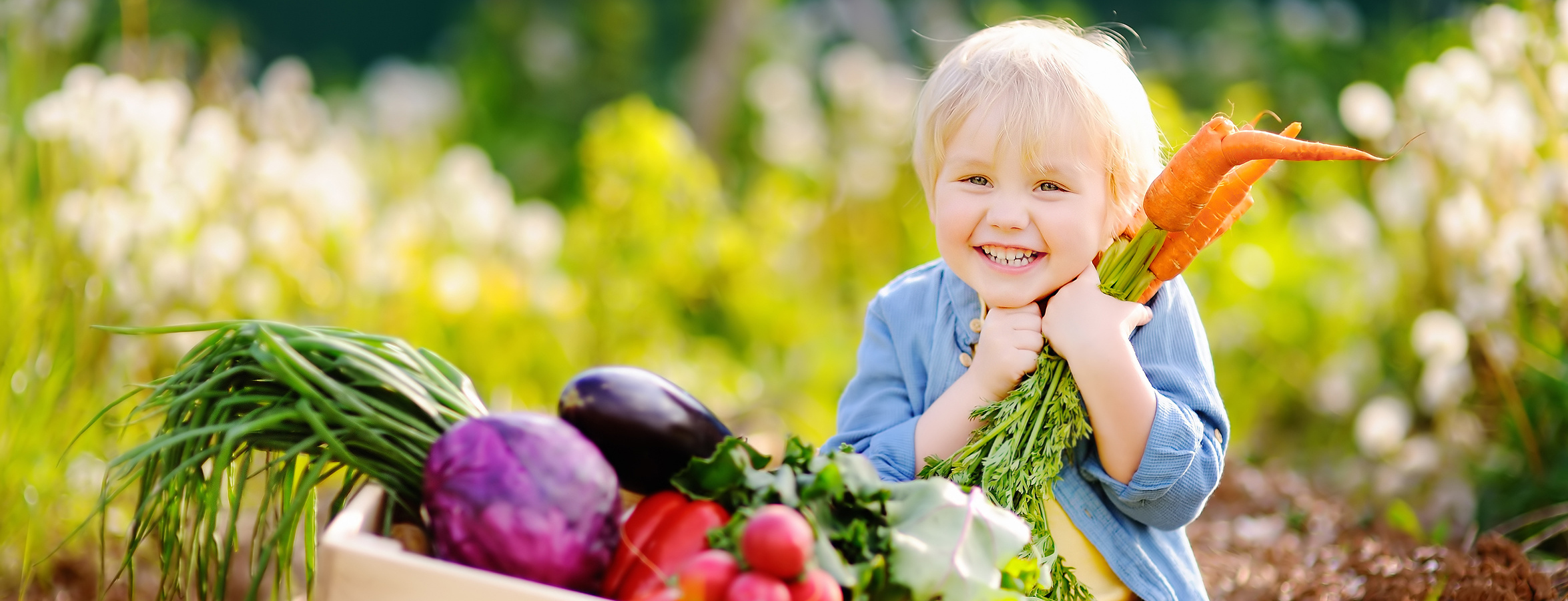 Lebe-Bewusst Bild Startseite ganzheitliche Ernährungsberatung Lebe-Bewusst Bild Startseite ganzheitliche Ernährungsberatung